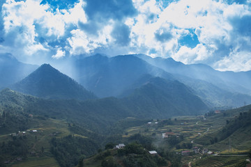  Beautiful landscape yellow Rice filed terraces at Lao Chai, Sapa, Vietnam