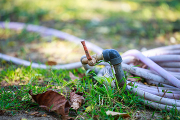 Old rusty water taps in Blurred Lawn Background