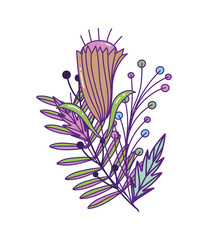 Isolated natural flower with leaves vector design