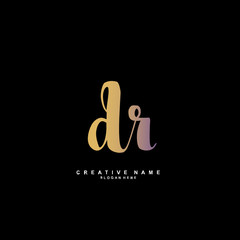D R DR Initial logo template vector. Letter logo concept