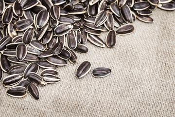 Fototapeta na wymiar Organic sunflower seeds for background. Seeds with peel close up on canvas with copy space. Selective focus.