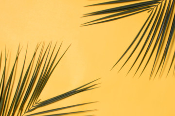 TOP VIEW EMPTY YELLOW BACKGROUND WITH LEAF