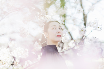満開の桜と東洋美を備えた女性