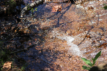  rushing stream from waterfall along Colorado hiking trail 