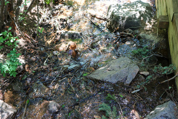 A close up of rushing stream from waterfall along Colorado hiking trail 