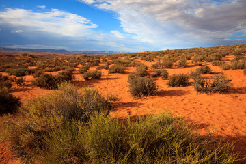 Page, Arizona / USA - August 05, 2015: Landscape near Horseshoe Bend, Page, Arizona, USA