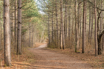 Trail in Ontario - Yours to Discover