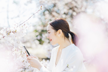 スマートフォンで桜を撮る女性