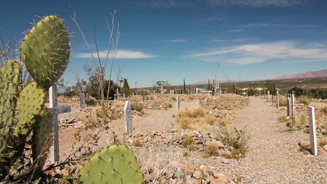 Green Cactus Plants On The Foreground At Boothill Cemetery In Tombstone, Arizona Under The Bright Blue Sky - Closeup Shot