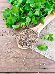 Coriander seeds in wooden spoon on old board top