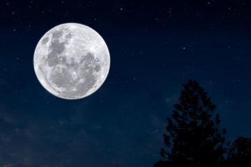 Fototapeta na wymiar Full moon on blue sky with silhouette pine tree at night.