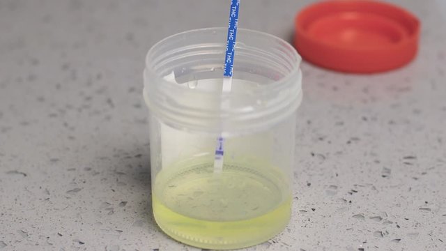 Dipping THC marijuana home test strip into urine sample cup, in bathroom at home