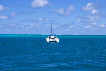 Image of a tropical resort, a pure white catamaran yacht floating in the blue sky and blue sea