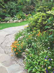 A garden with a pathway surrounded by flowers
