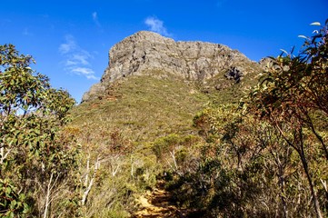 Bluff knoll