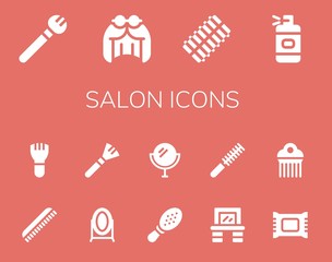 salon icon set