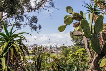 Melbourne AAMI park royal botanical gardens