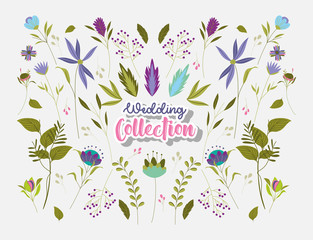 leaves and flowers of wedding collection vector design