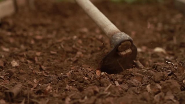 Garden hoe mixing a soil with bio fertilizer to create a good healthy soil for sow a seed and grow vegetable at home garden.