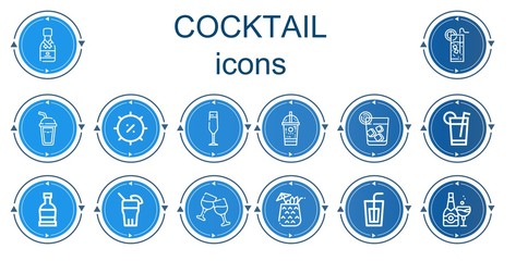 Editable 14 cocktail icons for web and mobile