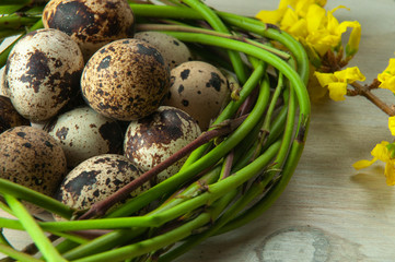 natural easter decoration with spotted quail eggs
