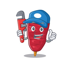 Doner kebab Smart Plumber cartoon character design with tool