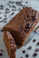 delicious freshly baked homemade chocolate sponge cake