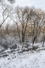 Snow covered marshland. Remains of pure white snow on the river flood near Bush in early spring.