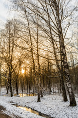 Beautiful winter forest during sunset. Through the sprawling snow-covered branches of the trees visible rays of setting sun reflected in water.