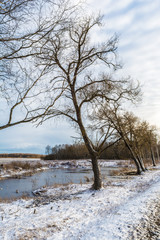 Nature landscape with pond and trees after first frost, morning with frozen water and plants
