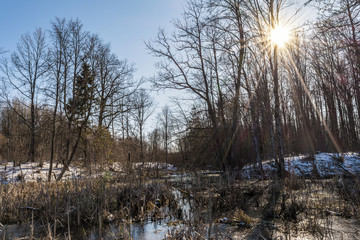 Spring bright landscape. Landscape with river or marshy area and thawed with dry grass on the bank.