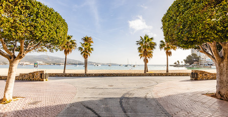 Palmanova sand beach in Mallorca, Spain with pine trees and palm trees on a sunny day