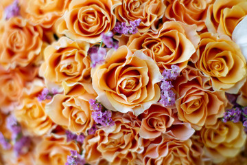 Background many orange roses.