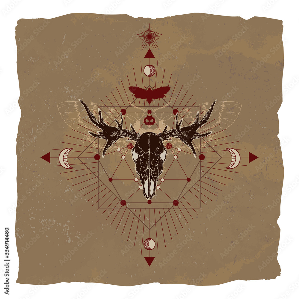 Wall mural Vector illustration with hand drawn moose skull, dead head moth and Sacred geometric symbol on vintage paper background with torn edges.