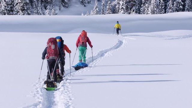 Expedition skiers pulling pulk sleds cross meadow to nearby trees