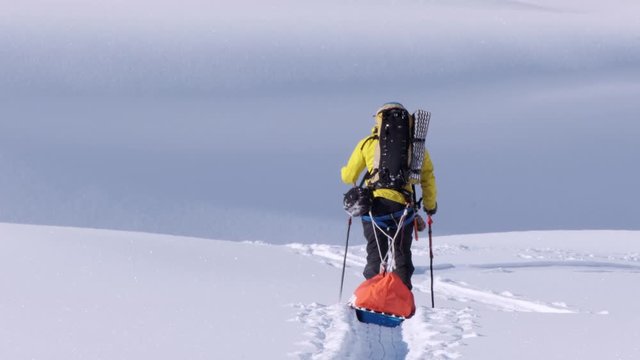 Expedition backcountry skier with pulk sled skis over sunny glacier