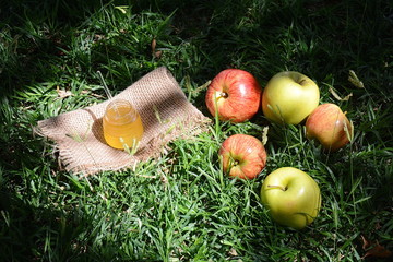 Jewish New Year holiday- Rosh Hashana concept with honey and fresh garden apples in a basket