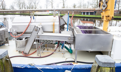 Machine for processing fish on a boat