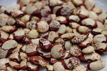 Double bean or Lima bean, giant beans high in protein