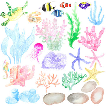 Watercolor set of marine life and algae. Ideal in the design of printing, textiles, souvenir products, web sites, photo albums, decoupage and other creative fields.