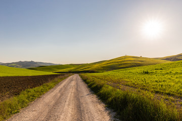 Obraz premium Beautiful Tuscany landscape in spring time with wave hills and a road in the foreground. Tuscany, Italy, Europe