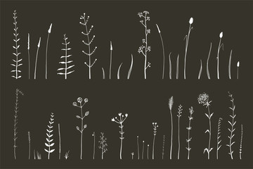 Hand drawn doodle medical herbarium wild grass and flowers collection, illustrator monochrome art brushes set white herbs isolated on black.