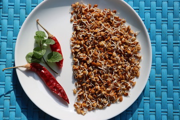 Horse gram sprouts, Macrotyloma uniflorum, germinated beans as healthy breakfast, macrobiotic diet