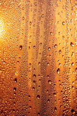 Drops of water on a glass in the golden rays of the sun.