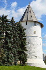 White antique pointed tower of the fort surrounded by neat green thickets, blue sky