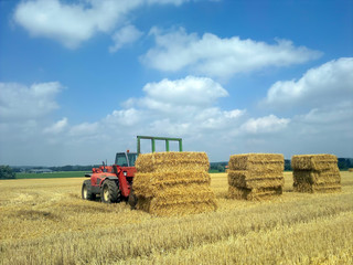 Obraz premium straw bales loaded with Manitou