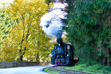 Running wood-burning locomotive of Mocanita ( Bucovina, Romania). - obrazy, fototapety, plakaty
