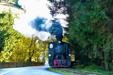 Running wood-burning locomotive of Mocanita ( Bucovina, Romania). - 334923227