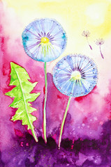 Watercolor illustration of dandelion and their parachutes on the background of a beautiful romantic sunset