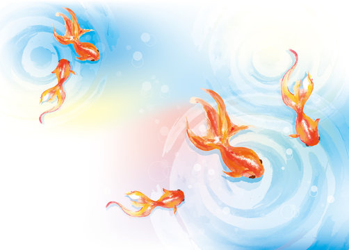 9 523 Best 金魚 Images Stock Photos Vectors Adobe Stock 9 523 Best 金魚 Images Stock Photos Vectors Adobe Stock